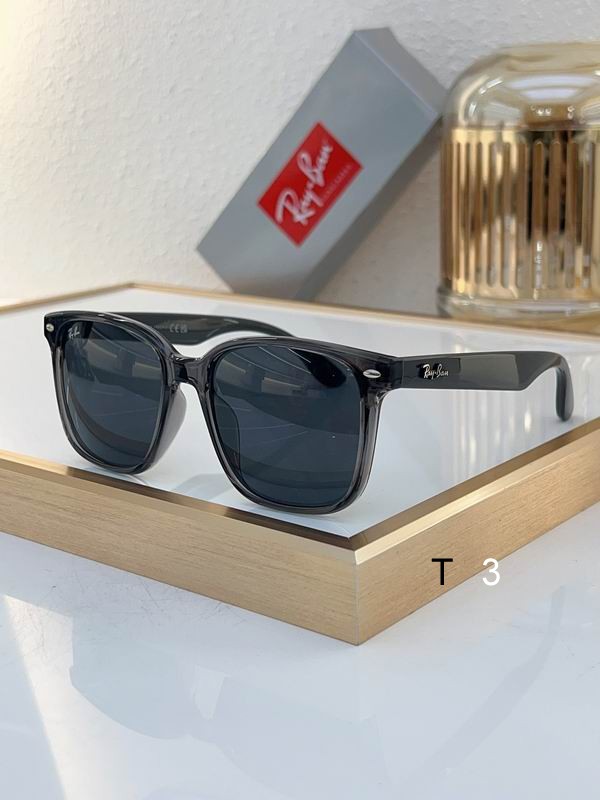 RayBan Sunglasses ID:20240804-382